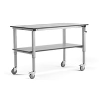 Miniatyrbilde 1