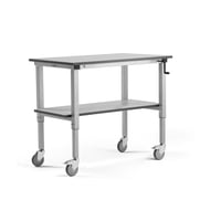 Miniatyrbilde 1