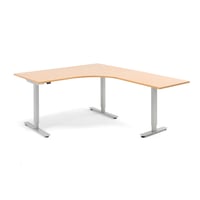 Miniatyrbilde 1