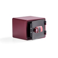 Miniatyrbilde 1