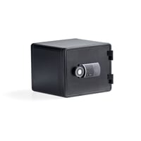 Miniatyrbilde 2