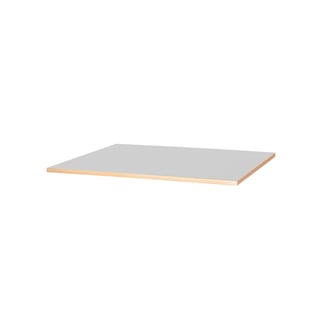 ESD laminat skiva 1200x800x24 mm, grå