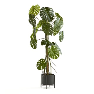 Kunstig Monstera, 1800 mm, inkl. krukke